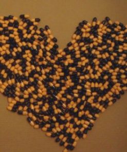 köpa Dexedrine 10 mg i sverige