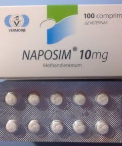 Naposim Methandienone 10 mg