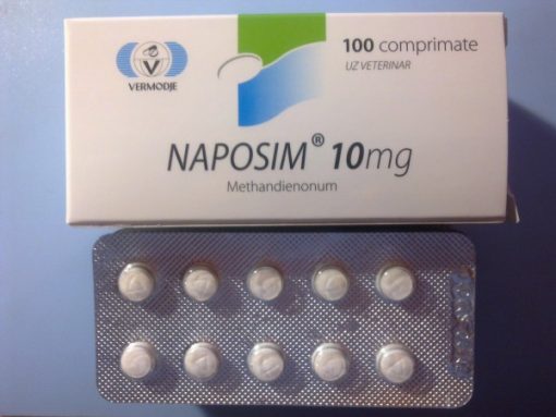 Naposim Methandienone 10 mg